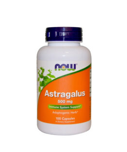 Now Astragalus