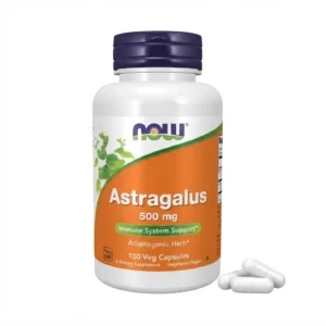 Astragalus 500 mg 100caps