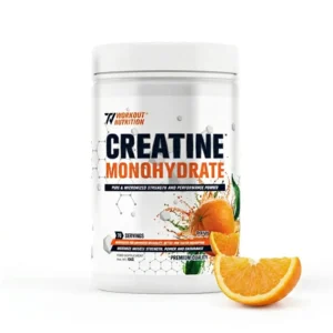 WORKOUT CREATINE 420g Orange