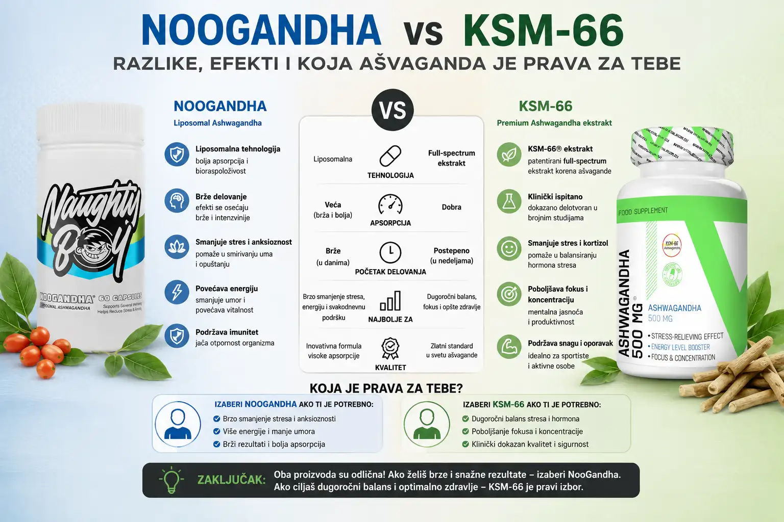 NooGandha vs KSM-66: Razlike, efekti i koja ašvaganda je prava za tebe 1 noogandha vs ksm66 razlike efekti asvaganda