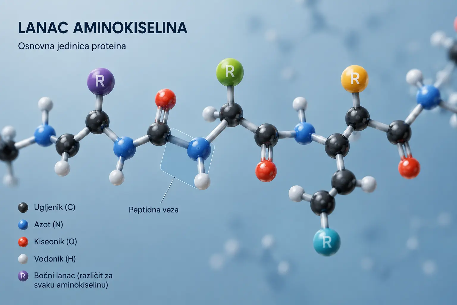 proteini aminokiseline