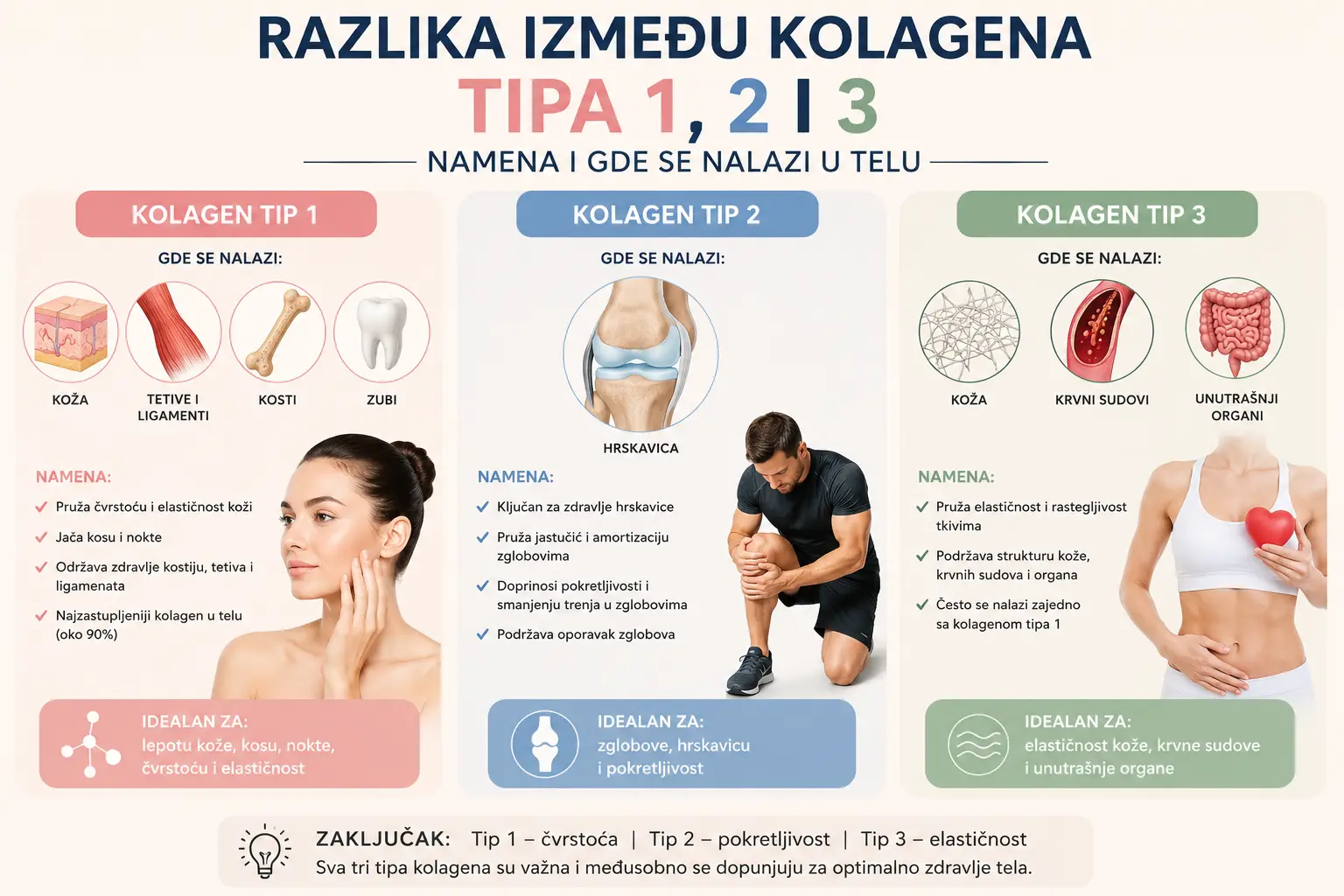 Razlika između kolagena tipa 1, 2 i 3 — namena i gde se nalazi u telu
