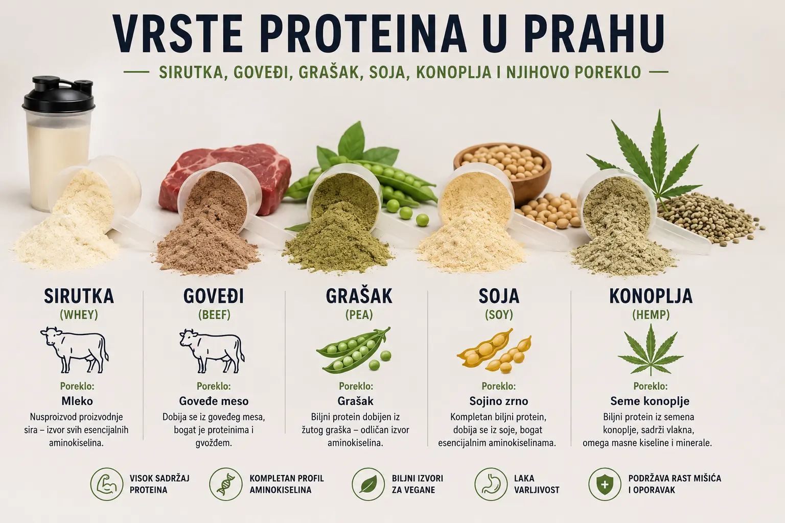Vrste proteina u prahu — sirutka, goveđi, grašak, soja, konoplja i njihovo poreklo